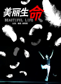 触摸触摸